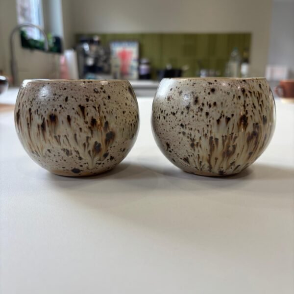 IMG-20251213-WA0066 Koffiemok set 'earth round'